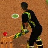 Cricket Batter Challenge